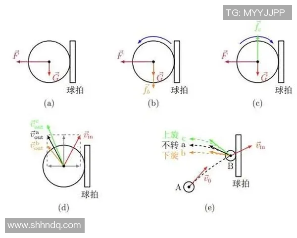 科学乒乓球训练新方法探索提升灵活性与反应速度的有效策略