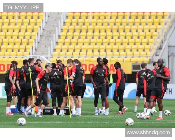 石家庄足球明星的崛起与成就:他们如何改变了这座城市的足球文化 石家庄足球明星的崛起与成就:他们如何改变了这座城市的足球文化