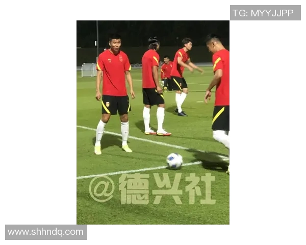 纳姓足球明星的辉煌历程与成就探秘 纳姓足球明星的辉煌历程与成就探秘