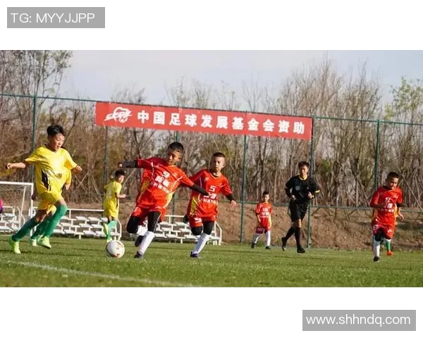 探索库存足球的魅力与潜力如何推动足球产业的创新与发展