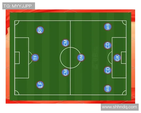 深入解析足球运动的系统知识与战术理解